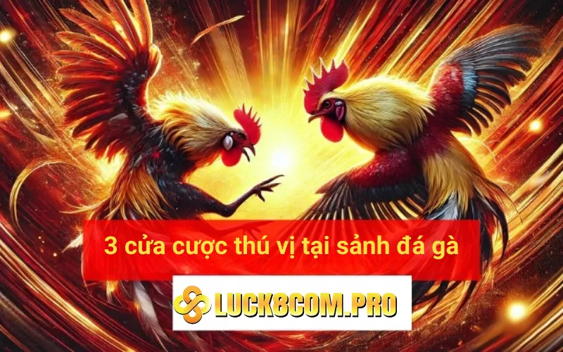 3 cửa cược thú vị tại sảnh đá gà