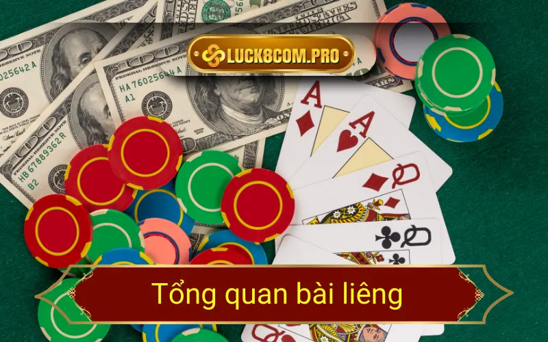 Tổng quan bài liêng